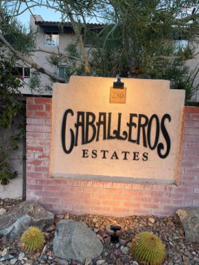 Downtown Palm Springs Retreat
